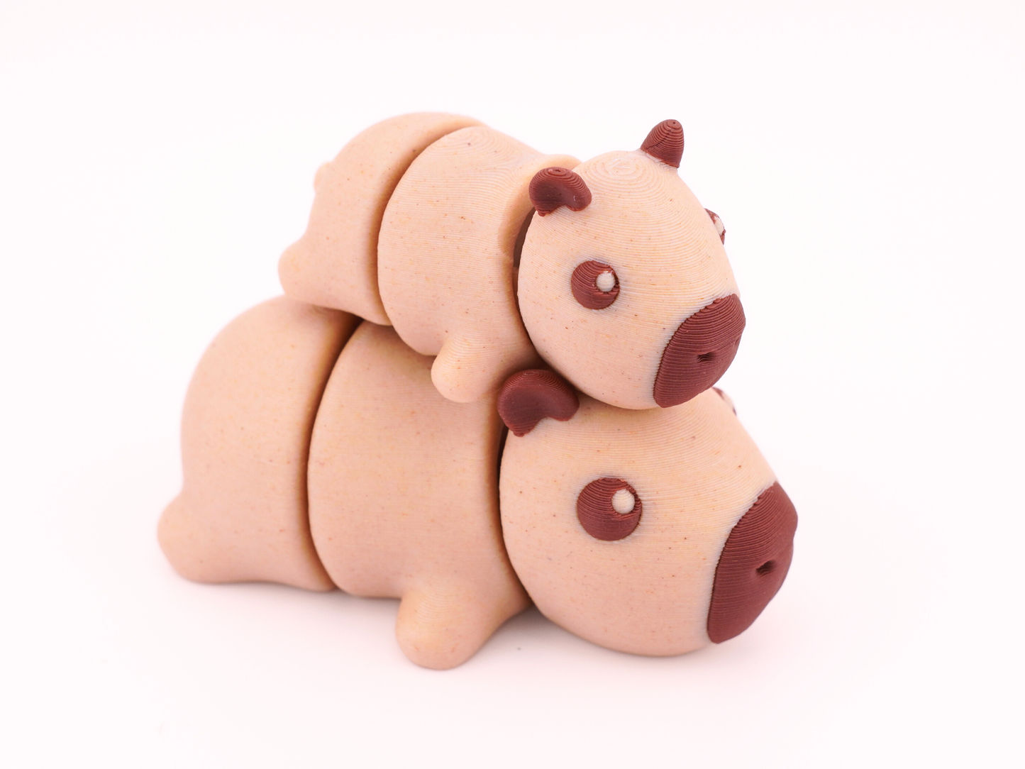 Baby Capybara