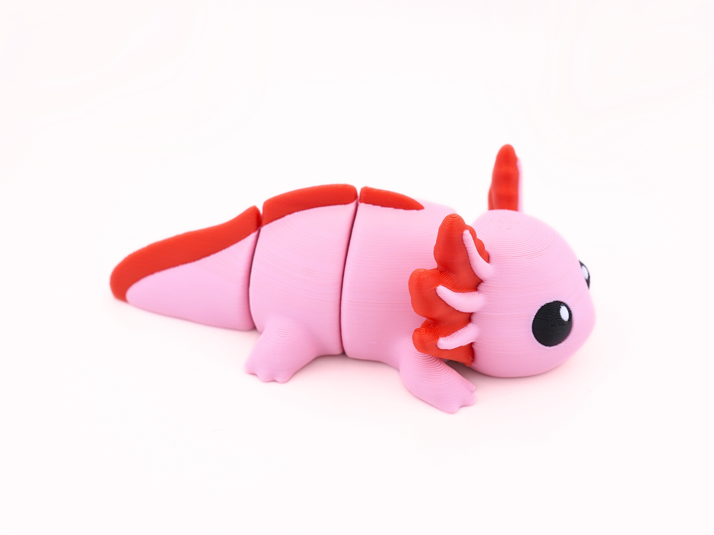 Axolotl