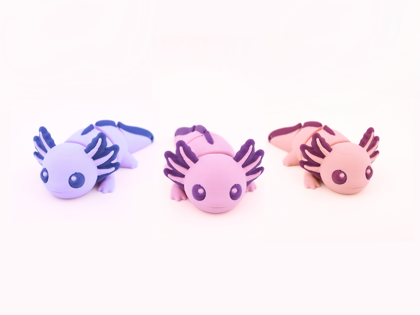 Axolotl