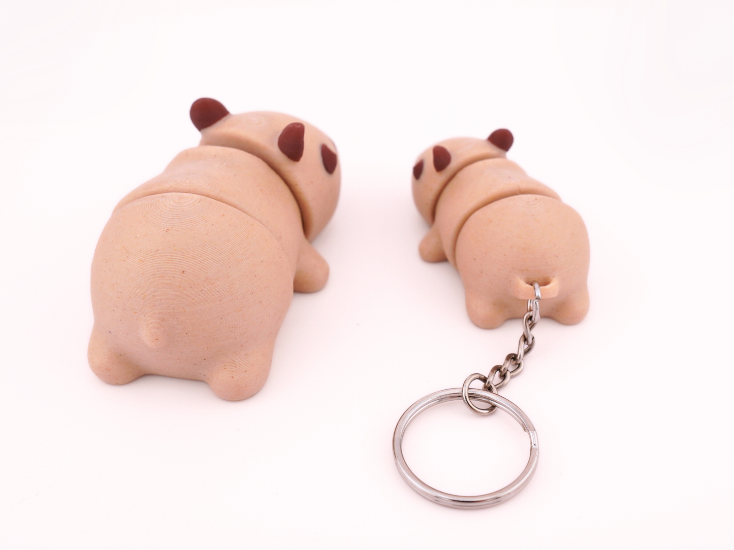 Baby Capybara