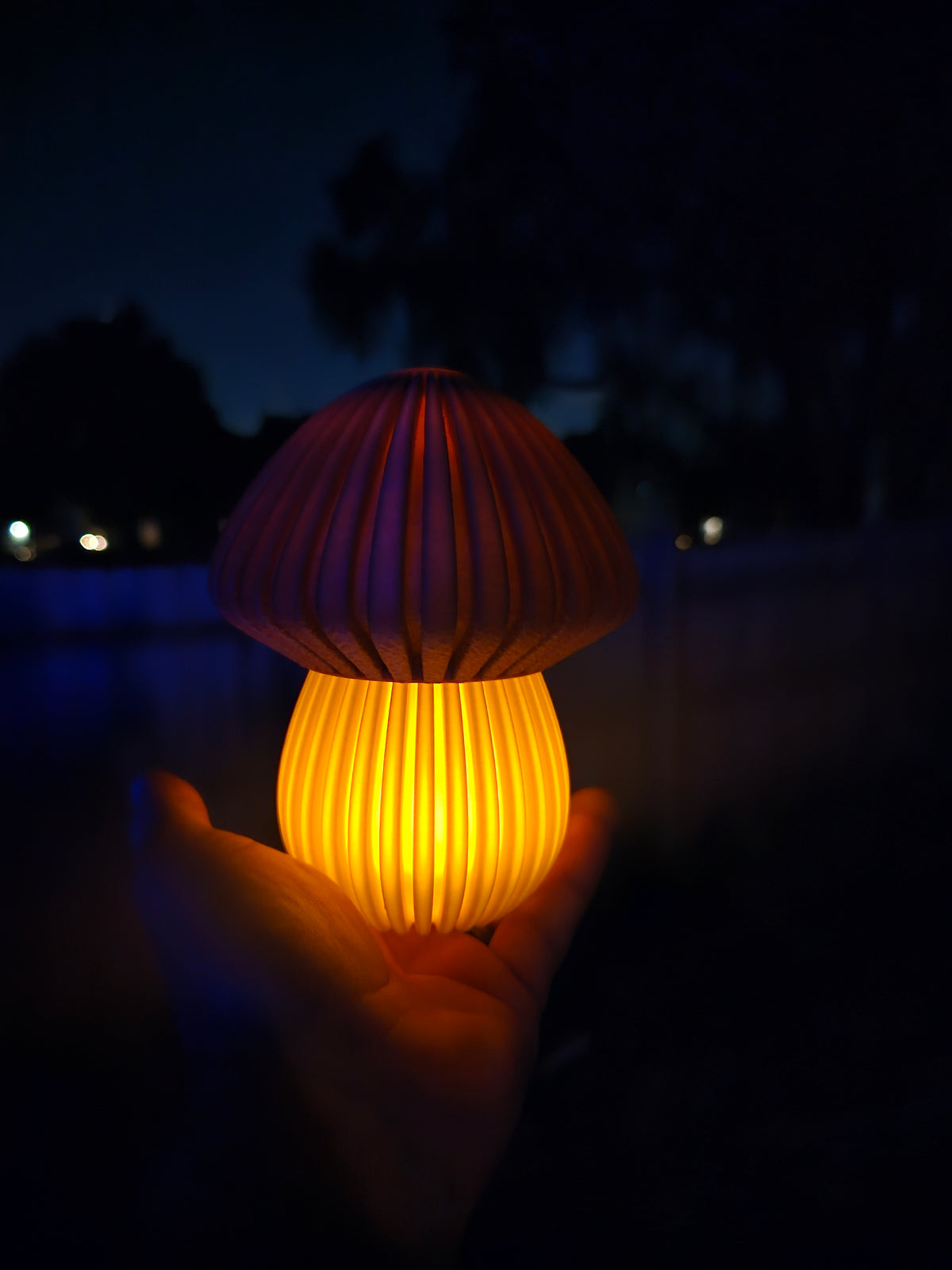 Cottagecore Night Light